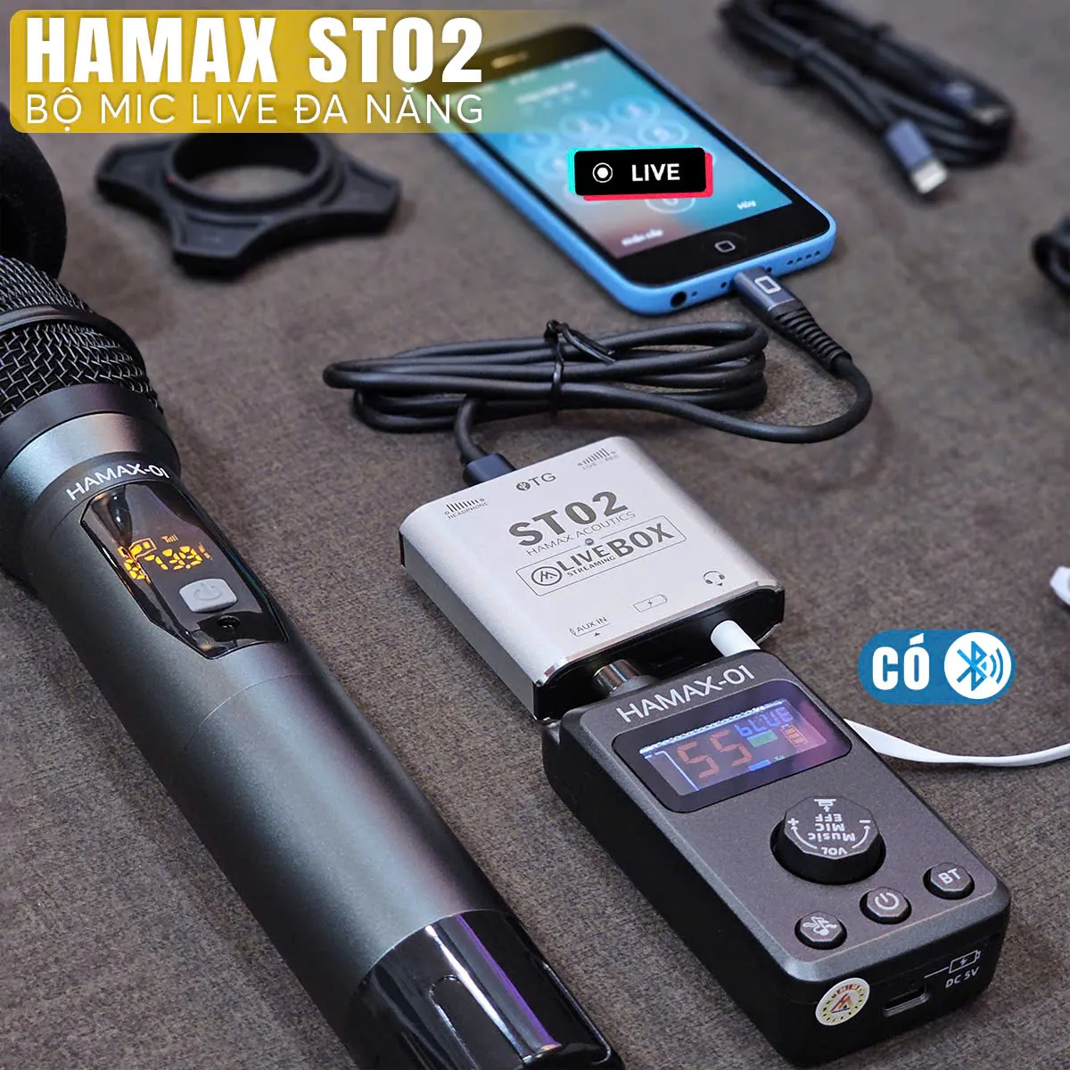 Bộ mic Hamax ST02 bản 1 mic