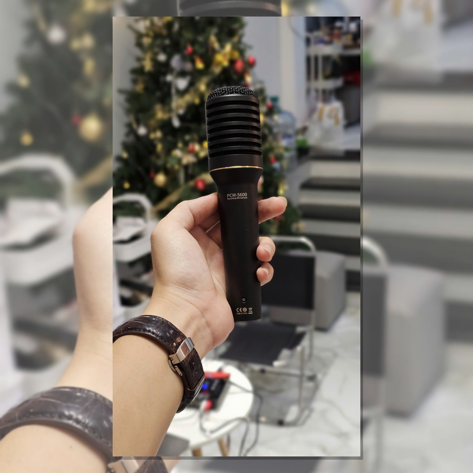 Thân micro condenser Takstar PCM-5600