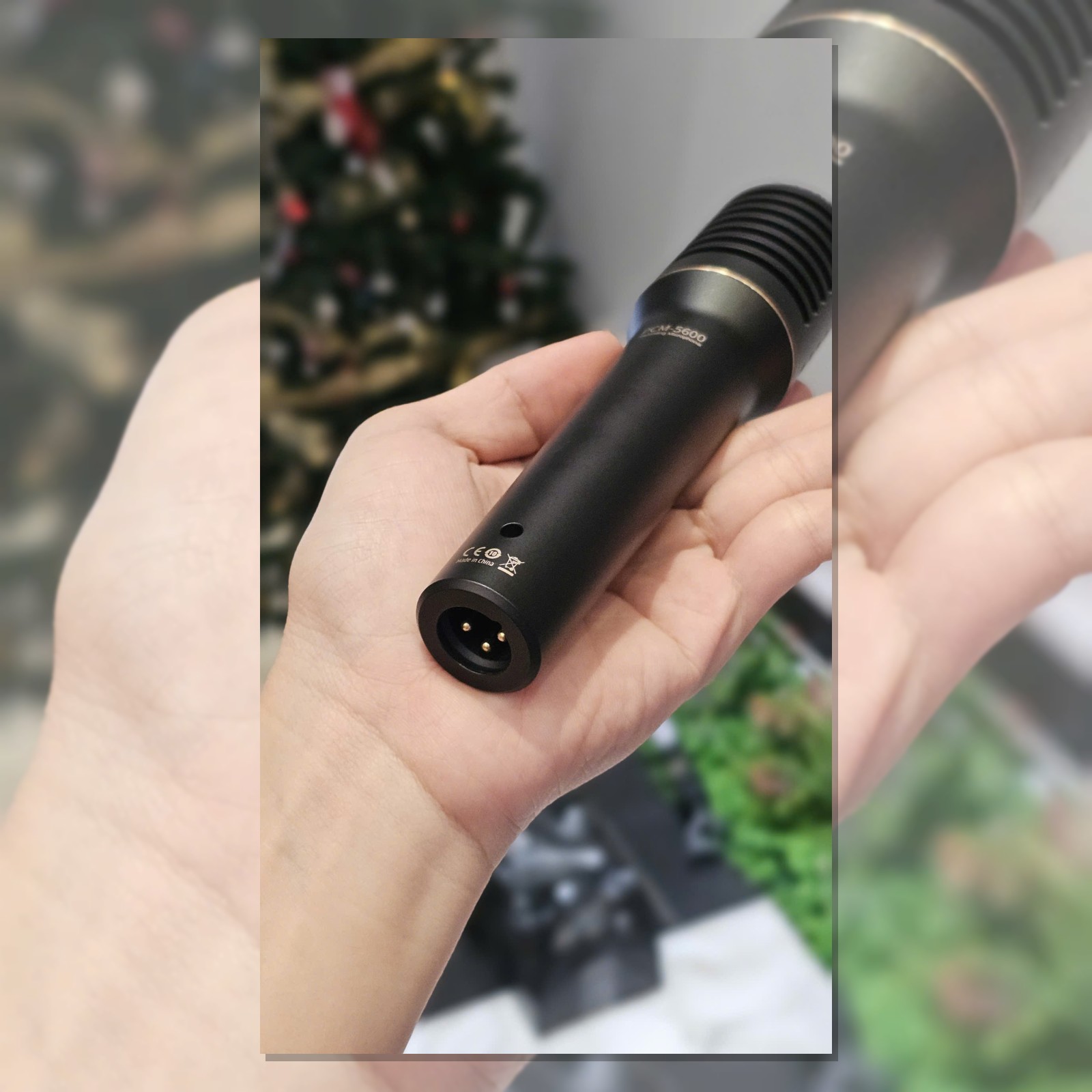 Cổng XLR của micro Takstar PCM-5600